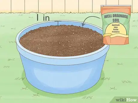 Image titled Grow a Container Garden Step 6