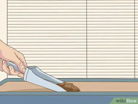 Image titled Clean a Chinchilla Cage Step 5