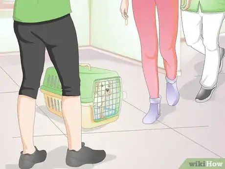 Image titled Crate Train a Small Dog Step 9