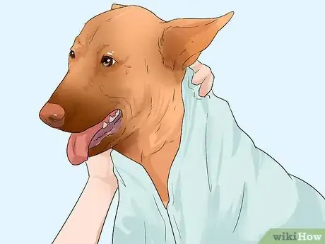 Image titled Help Your Dog Move in the Snow Step 7