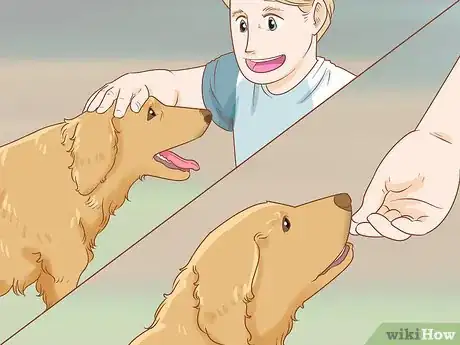 Image titled Train a Golden Retriever Step 12