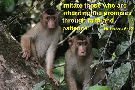 Image titled Hebrews 6 12.png