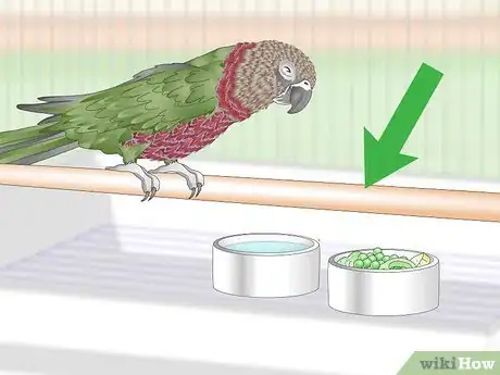 Image titled Treat Infections in Hawk Headed Parrots Step 12