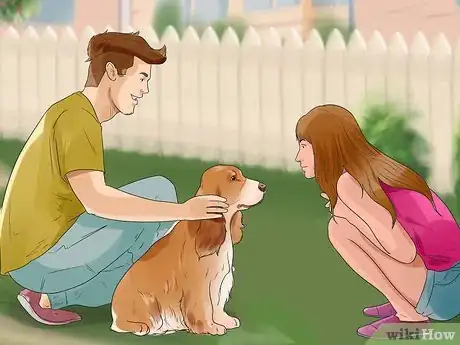 Image titled Care for English Springer Spaniels Step 12