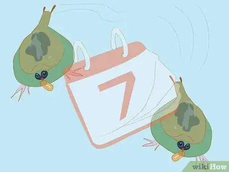 Image titled Set up a Billabong Bugs Kit Step 14