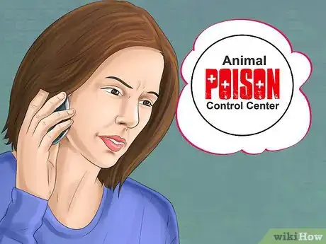 Image titled Get a Dog to Vomit Step 4