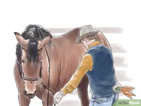 Image titled Stretch a Horse Step 1