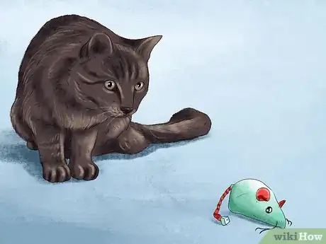 Image titled Find Your Cat's Preferred Play Style Step 5