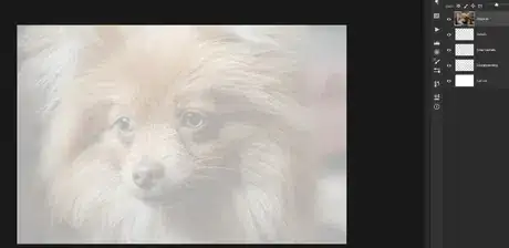 Image titled Tracing paper layer photoshop cc.png