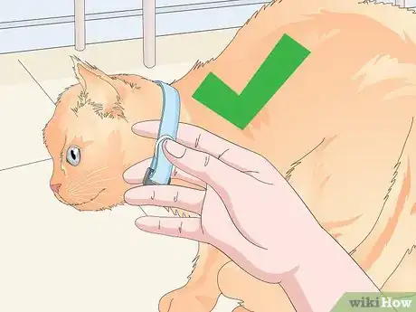 Image titled Buy a Collar for Your Cat Step 9