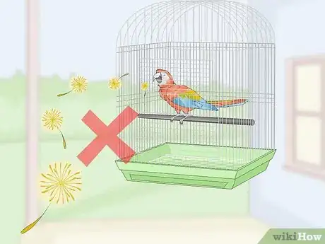 Image titled Treat Allergies in Macaws Step 1