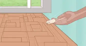 Build a Hamster Maze