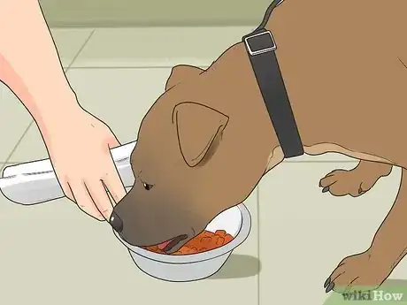 Image titled Rehabilitate an Overly Shy Dog Step 8