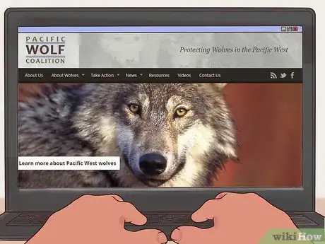 Image titled Become a Wolf Expert Step 9