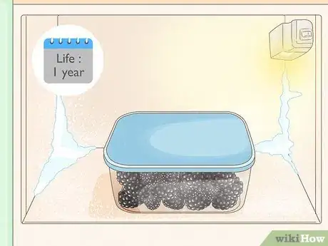 Image titled Harvest Blackberries Step 14