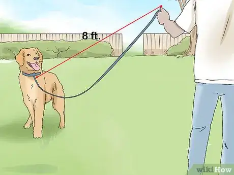 Image titled Walk a Dog on a Leash Step 6