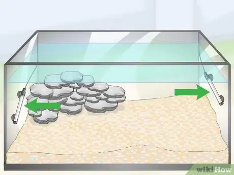Image titled Care for Mbuna Cichlids Step 5