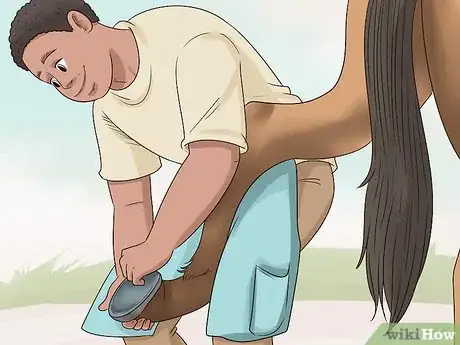 Image titled Care for a Gaited Horse Step 8