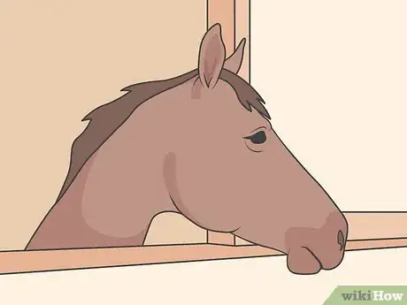 Image titled Stop the EEE Virus Step 13