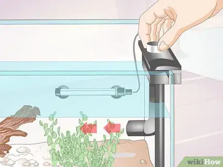 Image titled Keep Crystal Red Shrimp Step 4