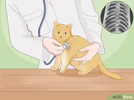 Image titled Treat a Cat With Asthma Step 1