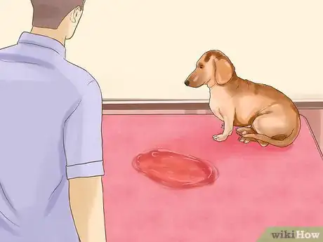 Image titled Get Dog Smell Out of a Basement Step 5