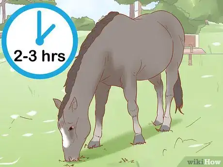 Image titled Prevent Laminitis in Horses Step 2