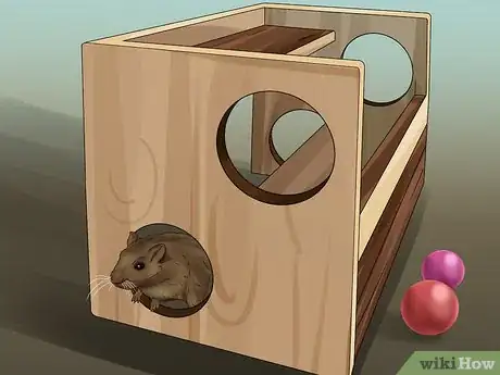 Image titled Catch a Gerbil on the Loose Step 20