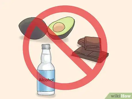 Image titled Choose a Finch Step 14