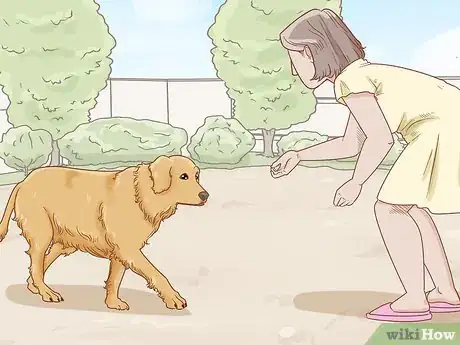 Image titled Teach Your Dog to Duck Step 1