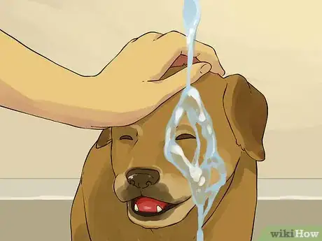 Image titled Give a Small Dog a Bath Step 12