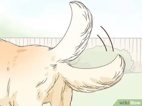 Image titled Pet a Dog Step 7