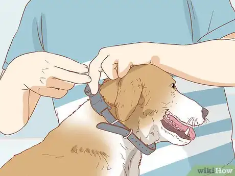Image titled Use a Pager Collar Step 3