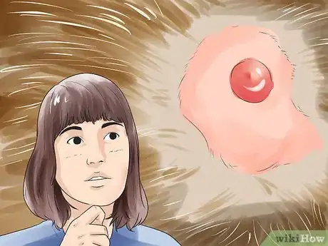 Image titled Detect Skin Cancer in Dogs Step 8