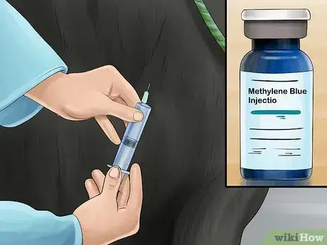 Image titled Treat and Prevent Nitrate Toxicity in Cattle Step 14