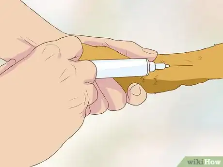 Image titled Get Veterinary Hospice Care for Your Dog Step 6