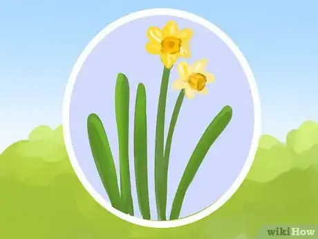 Image titled Plant a Deer‐Resistant Garden Step 7