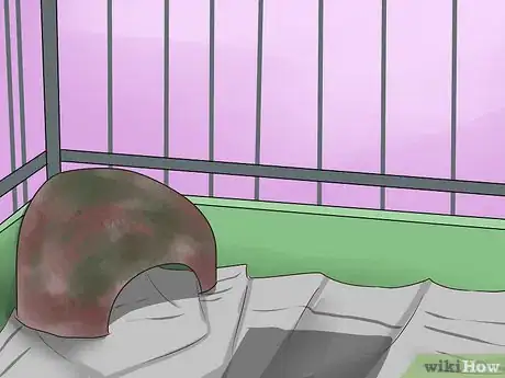 Image titled Choose Hamster Housing and Bedding Step 12