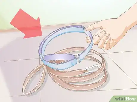 Image titled Get Supplies for Your New Dog Step 10