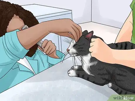 Image titled Spot and Treat Feline Asthma Step 3