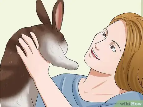 Image titled Know if You're Ready to Care for a Bunny Step 9