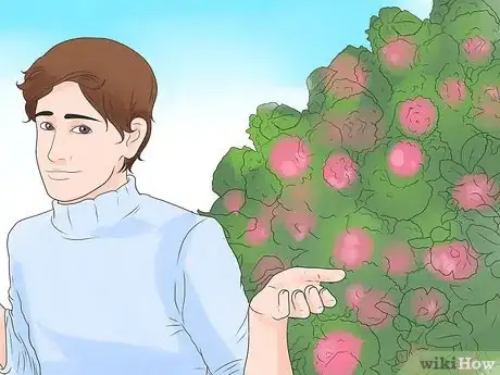 Image titled Prune Drift Roses Step 12