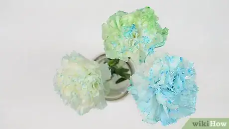 Image titled Dye Carnations Step 19