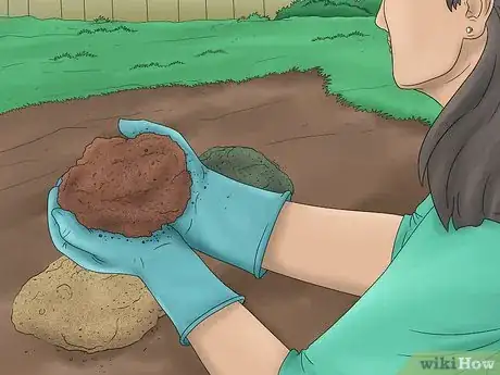 Image titled Grow Pole Beans Step 3