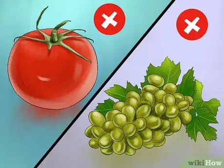 Image titled Take Care of an Oriental Cat Step 6