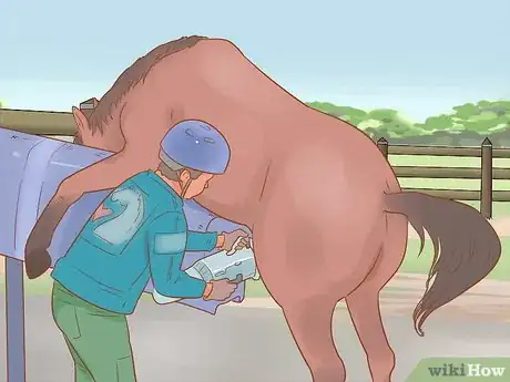 Image titled Handle and Control a Stallion Step 13