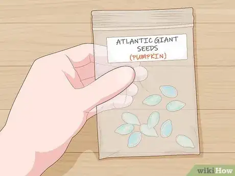 Image titled Grow Giant Vegetables Step 1