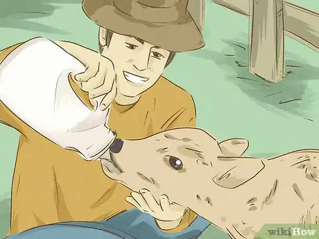 Image titled Be an Animal Lover Step 14