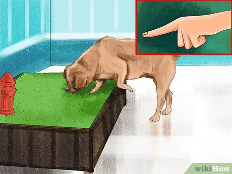 Image titled Know if a Senior Dog Is Right for Your Family Step 1