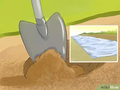 Image titled Harvest Heartsease Step 1